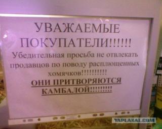 https://upforme.ru/uploads/0005/4c/d3/1769-1.jpg