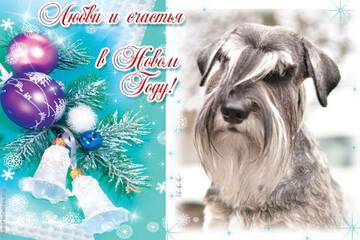 https://upforme.ru/uploads/0005/77/cb/1437/t532236.jpg