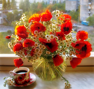 https://upforme.ru/uploads/0005/77/cb/1437/t89728.png