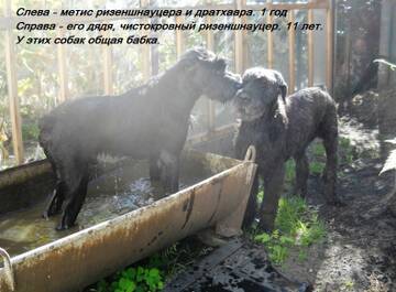 https://upforme.ru/uploads/0005/77/cb/1476/t828756.jpg