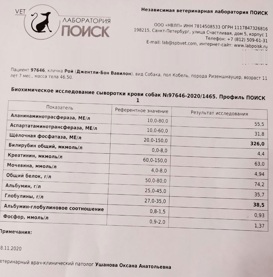 https://upforme.ru/uploads/0005/77/cb/2264/579916.jpg