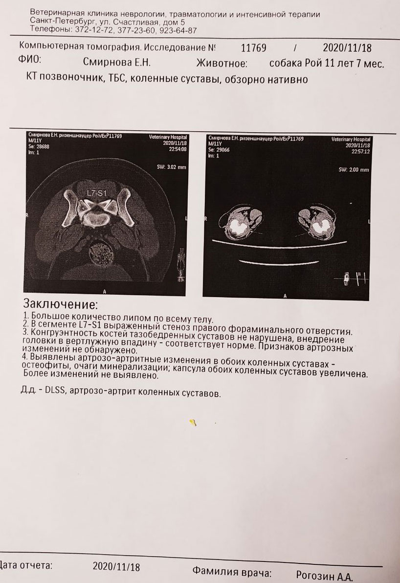 https://upforme.ru/uploads/0005/77/cb/2264/829987.jpg