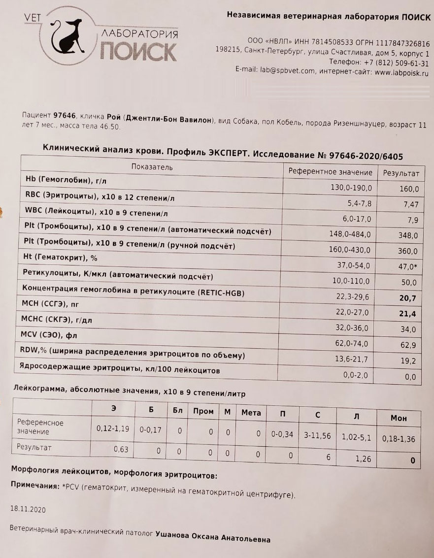 https://upforme.ru/uploads/0005/77/cb/2264/944423.jpg