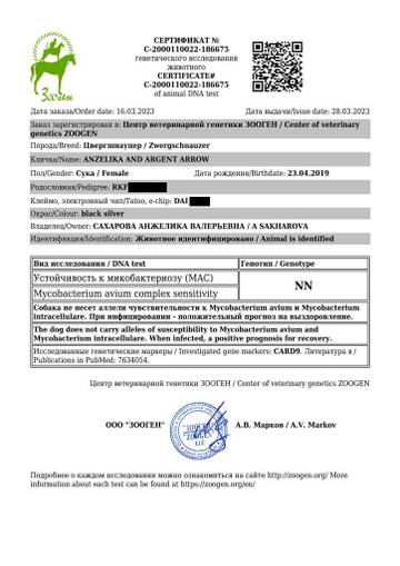 https://upforme.ru/uploads/0005/77/cb/33/t450164.jpg