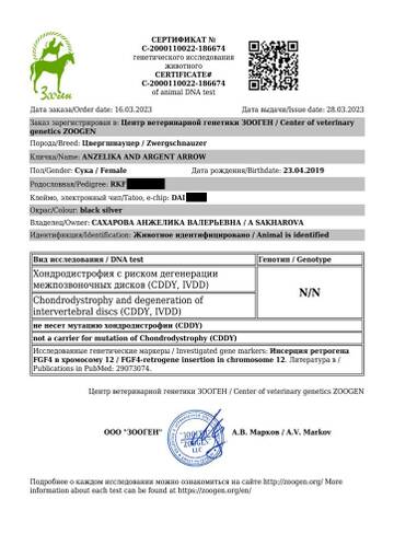 https://upforme.ru/uploads/0005/77/cb/33/t873069.jpg