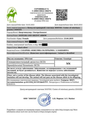 https://upforme.ru/uploads/0005/77/cb/33/t976586.jpg