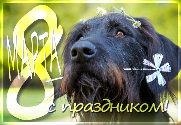 https://upforme.ru/uploads/0005/77/cb/600/t67631.jpg