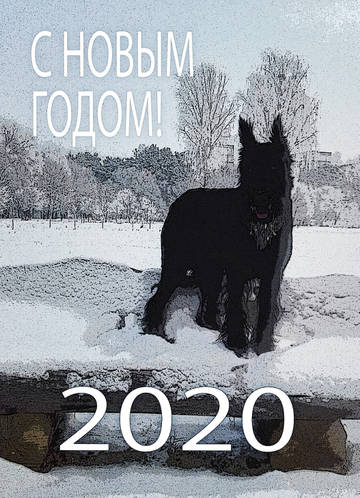https://upforme.ru/uploads/0005/77/cb/600/t86804.jpg