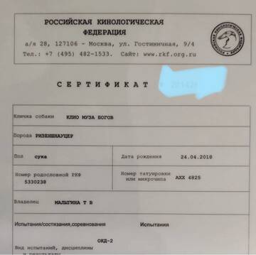 https://upforme.ru/uploads/0005/77/cb/871/t415199.jpg