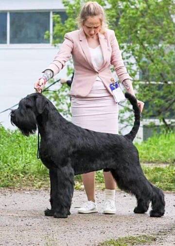 https://upforme.ru/uploads/0005/77/cb/871/t869757.jpg