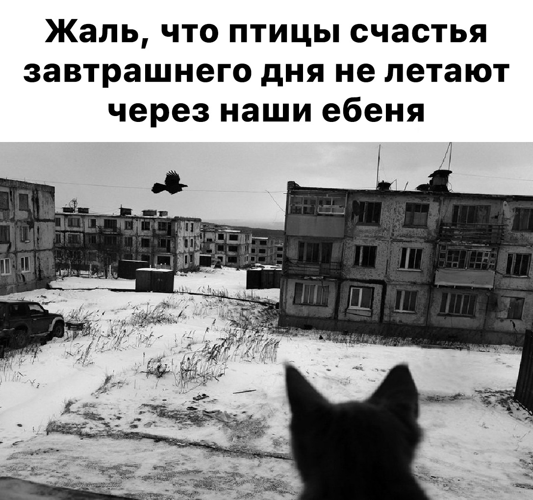 https://upforme.ru/uploads/0006/60/18/3258/241760.jpg
