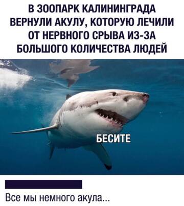 https://upforme.ru/uploads/0006/60/18/3258/t850909.jpg