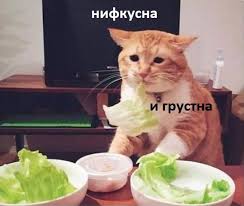 https://upforme.ru/uploads/0006/60/18/4615/t928230.jpg
