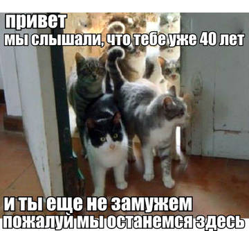 https://upforme.ru/uploads/0006/60/18/5752/t612551.jpg