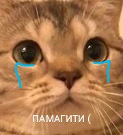https://upforme.ru/uploads/0006/60/18/7113/26841.jpg