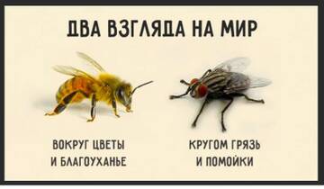 https://upforme.ru/uploads/0006/60/18/7185/t34883.jpg