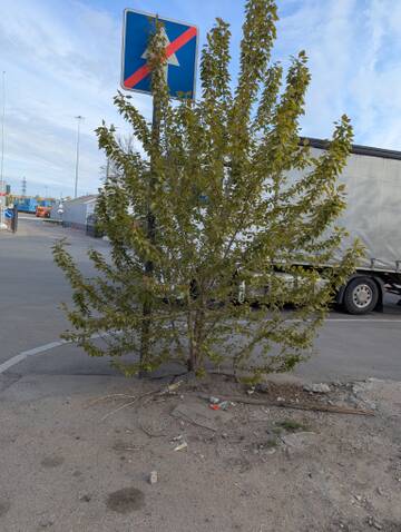 https://upforme.ru/uploads/0006/60/18/7265/t255482.jpg