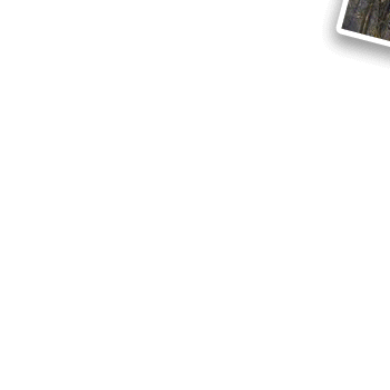 https://upforme.ru/uploads/0006/c6/51/237119-1-f.gif