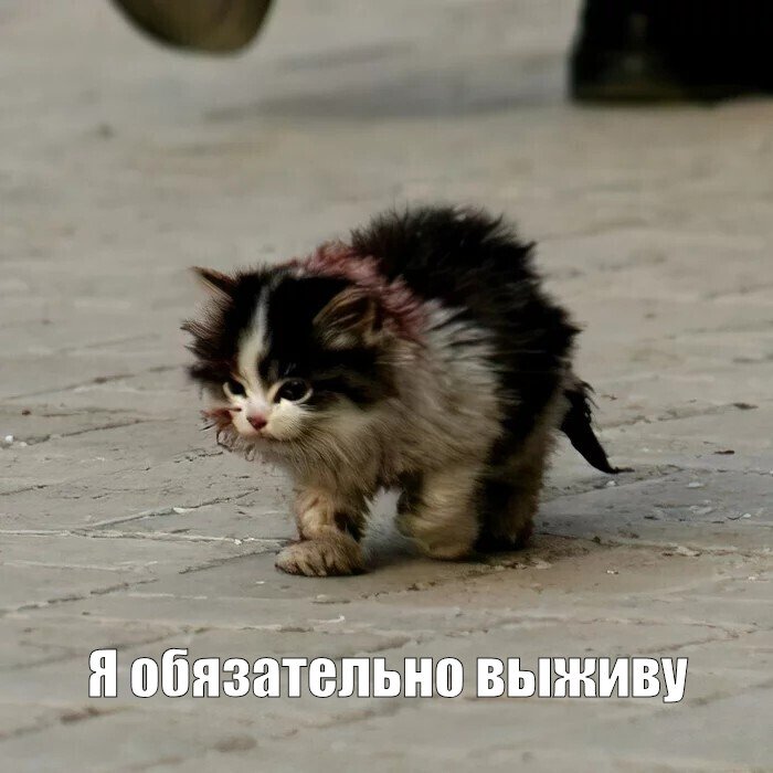 https://upforme.ru/uploads/0006/f5/43/2953/688836.jpg