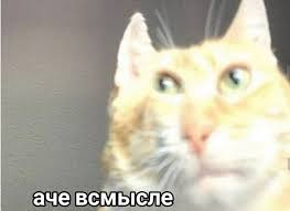 https://upforme.ru/uploads/0006/f5/43/2955/178740.jpg