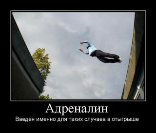 https://upforme.ru/uploads/0006/f5/43/325034-3.jpg