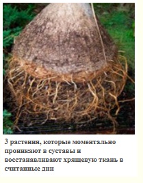 https://upforme.ru/uploads/0007/81/5a/23/t835888.jpg