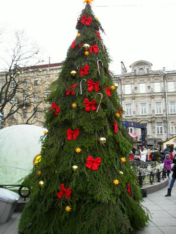 https://upforme.ru/uploads/0008/24/68/3/t10781.jpg