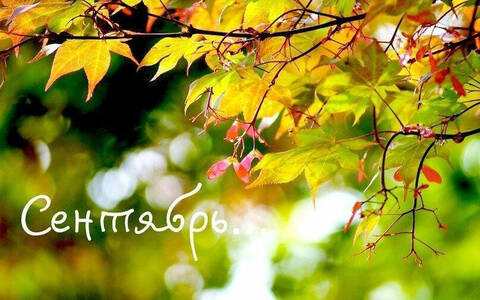 https://upforme.ru/uploads/0008/24/68/3/t70629.jpg