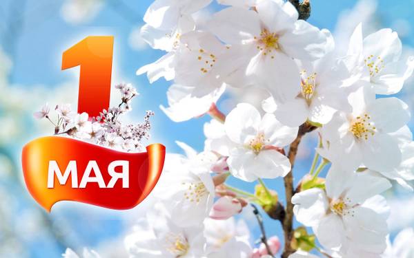 https://upforme.ru/uploads/0008/24/68/3/t772095.jpg
