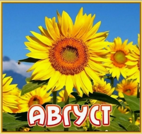 https://upforme.ru/uploads/0008/24/68/3/t997799.jpg