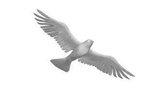 https://upforme.ru/uploads/0009/00/75/28845-1.jpg