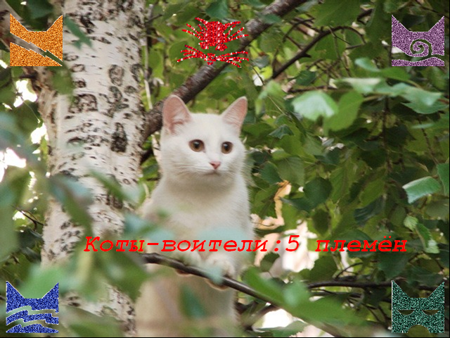 https://upforme.ru/uploads/0009/1d/b9/135-1-f.png