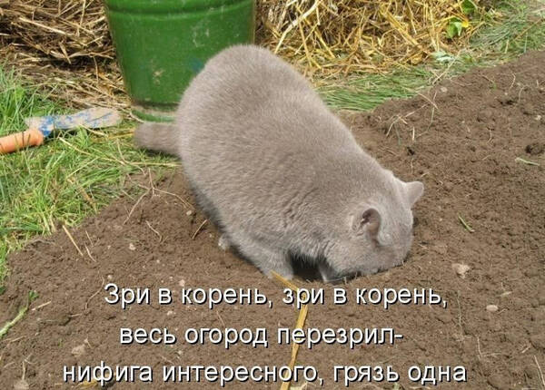 https://upforme.ru/uploads/0009/61/87/126/t103041.jpg