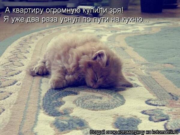 https://upforme.ru/uploads/0009/61/87/126/t128476.jpg