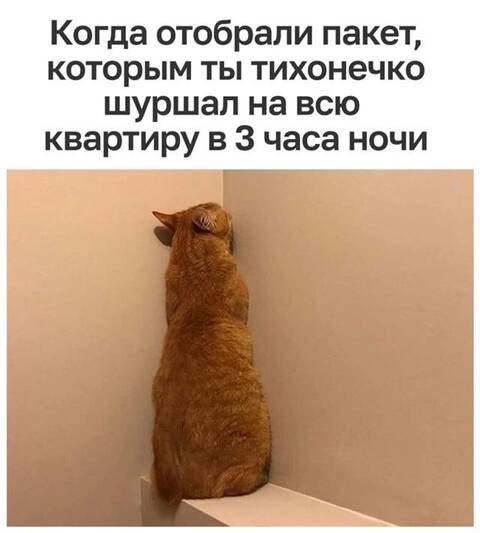 https://upforme.ru/uploads/0009/61/87/126/t169270.jpg