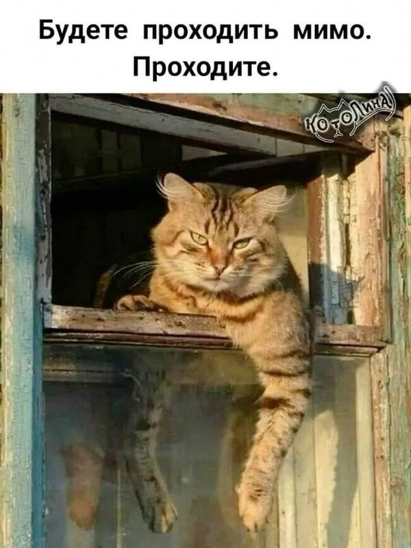 https://upforme.ru/uploads/0009/61/87/126/t196180.jpg
