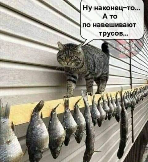 https://upforme.ru/uploads/0009/61/87/126/t227894.jpg
