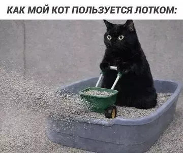 https://upforme.ru/uploads/0009/61/87/126/t234747.webp