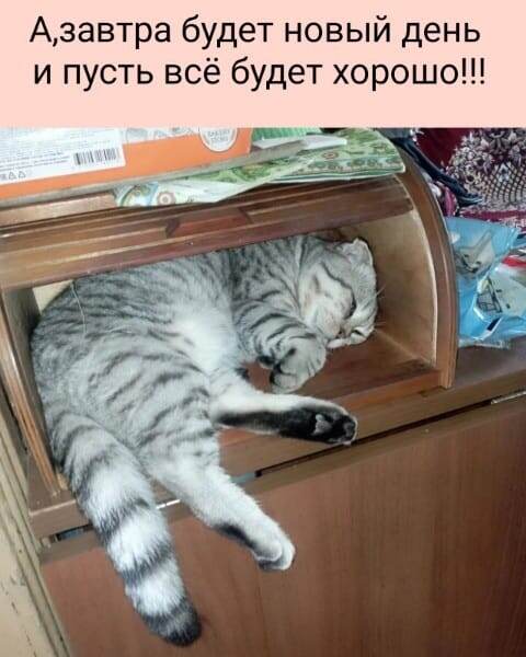 https://upforme.ru/uploads/0009/61/87/126/t240019.jpg