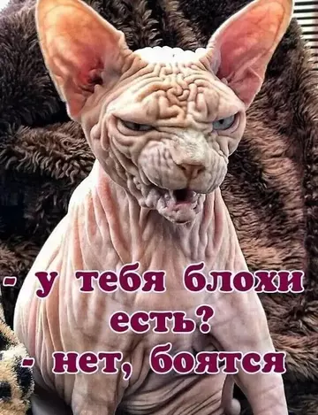 https://upforme.ru/uploads/0009/61/87/126/t255909.webp