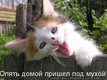 https://upforme.ru/uploads/0009/61/87/126/t300791.jpg