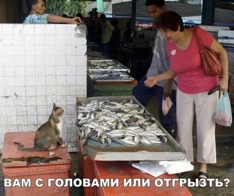 https://upforme.ru/uploads/0009/61/87/126/t306305.jpg