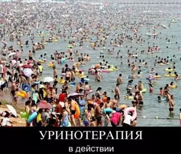 https://upforme.ru/uploads/0009/61/87/126/t310531.webp