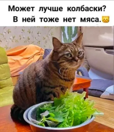 https://upforme.ru/uploads/0009/61/87/126/t341231.webp