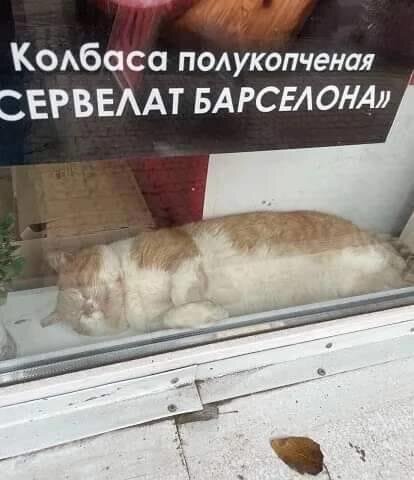 https://upforme.ru/uploads/0009/61/87/126/t397409.jpg