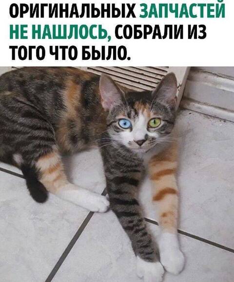 https://upforme.ru/uploads/0009/61/87/126/t400288.jpg