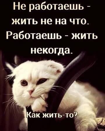https://upforme.ru/uploads/0009/61/87/126/t408060.jpg