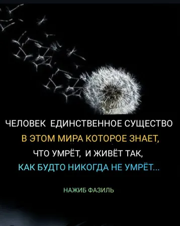 https://upforme.ru/uploads/0009/61/87/126/t423349.webp