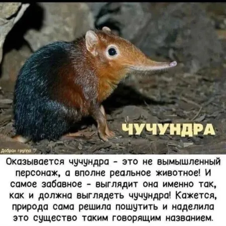 https://upforme.ru/uploads/0009/61/87/126/t447514.webp