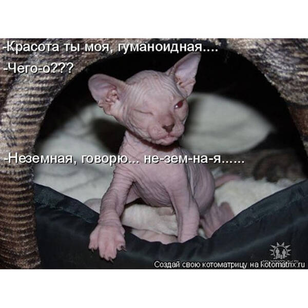 https://upforme.ru/uploads/0009/61/87/126/t474550.jpg